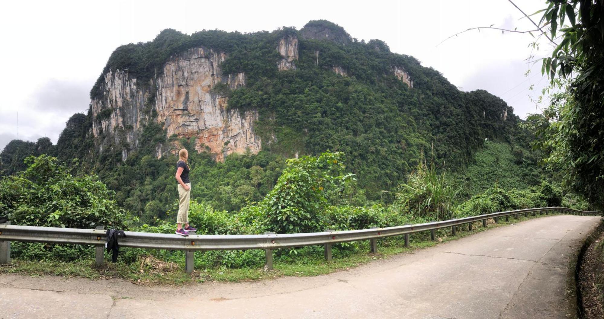 Tutu'S Homestay Phong Nha Ngoại thất bức ảnh